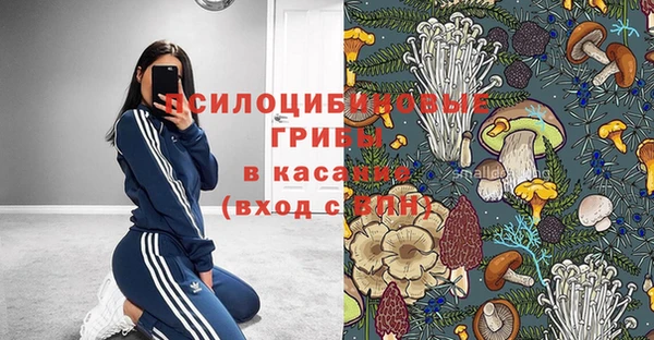 эйфоретик Верея